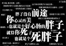 fing是什么意思
